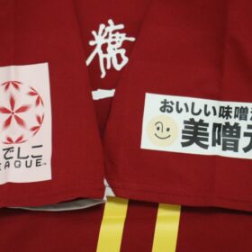 2012 INAC Kobe Leonessa Jersey Home Takase #11 - Image 7