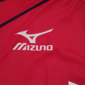 2014 Cerezo Osaka Jersey Home ACL Forlan #10 - Image 6