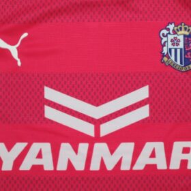 2016 Cerezo Osaka Jersey Home - Image 4