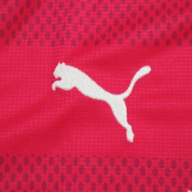 2016 Cerezo Osaka Jersey Home - Image 6