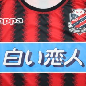 2017 Hokkaido Consadole Sapporo Jersey Home - Image 4