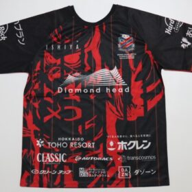 2019 Hokkaido Consadole Sapporo Cheap Jersey - Image 12