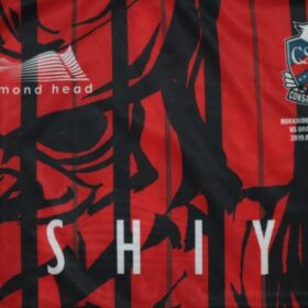 2019 Hokkaido Consadole Sapporo Cheap Jersey - Image 3
