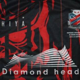 2019 Hokkaido Consadole Sapporo Cheap Jersey - Image 4