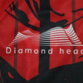 2019 Hokkaido Consadole Sapporo Cheap Jersey - Image 6