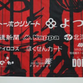 2019 Hokkaido Consadole Sapporo Cheap Jersey - Image 8