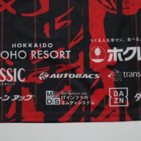 2019 Hokkaido Consadole Sapporo Cheap Jersey - Image 9