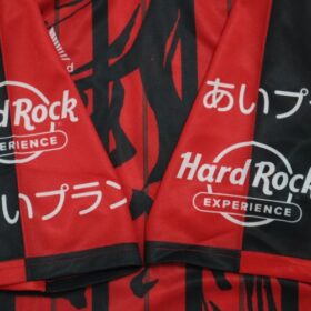 2019 Hokkaido Consadole Sapporo Cheap Jersey - Image 10