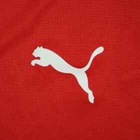 2019 Roasso Kumamoto Player Jersey Home - Image 6