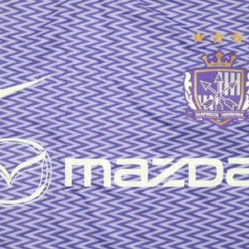 2019 Sanfrecce Hiroshima Jersey Home ACL - Image 4