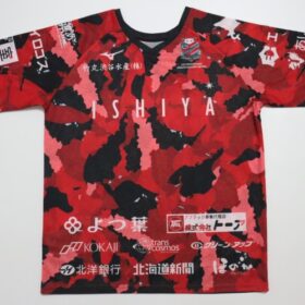 2022 Hokkaido Consadole Sapporo Cheap Jersey - Image 2