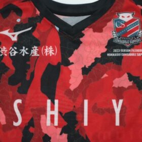 2022 Hokkaido Consadole Sapporo Cheap Jersey - Image 3