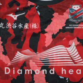 2022 Hokkaido Consadole Sapporo Cheap Jersey - Image 4