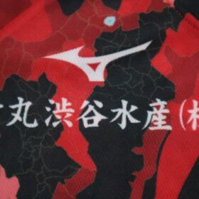 2022 Hokkaido Consadole Sapporo Cheap Jersey - Image 6