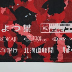2022 Hokkaido Consadole Sapporo Cheap Jersey - Image 7