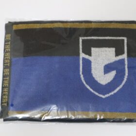 2023 Gamba Osaka Official Fan Club Towel Scarf - Image 2