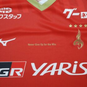 2024 Nagoya Grampus Eight Jersey Third - Image 4