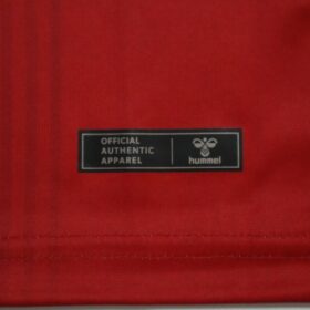 2025-2026 INAC Kobe Leonessa Player Jersey Home Tsujisawa #29 - Image 8