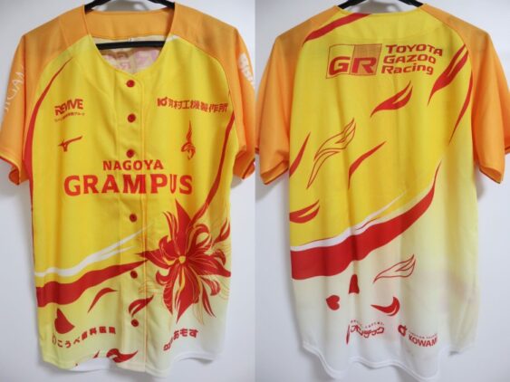 2025 Nagoya Grampus Eight Girls Festa Cheap Jersey