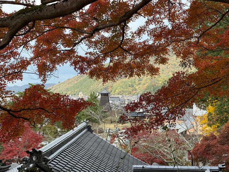 Notice of Year-End and New Year Holiday Schedule