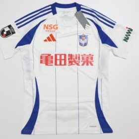 2025 Albirex Niigata Jersey Away - Image 2