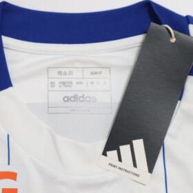 2025 Albirex Niigata Jersey Away - Image 3