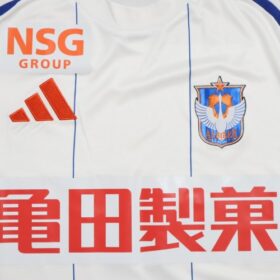 2025 Albirex Niigata Jersey Away - Image 4