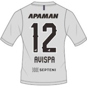 2025 Avispa Fukuoka Player Jersey Away - Image 2