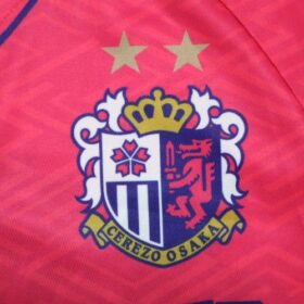2025 Cerezo Osaka Monster Hunter Design Cheap Jersey - Image 5