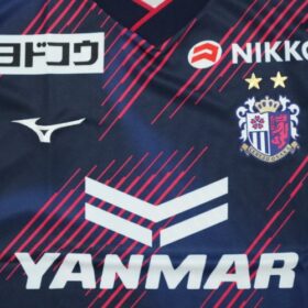 2025 Cerezo Osaka Jersey Third - Image 4