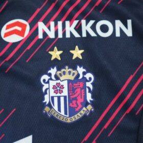 2025 Cerezo Osaka Jersey Third - Image 5
