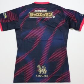 2025 Cerezo Osaka Jersey Third - Image 9