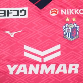 2025 Cerezo Osaka Jersey Home - Image 4