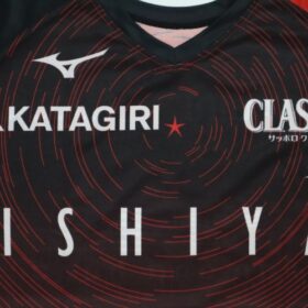 2025 Hokkaido Consadole Sapporo Cheap Jersey - Image 3
