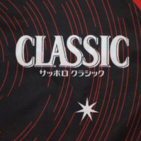 2025 Hokkaido Consadole Sapporo Cheap Jersey - Image 4