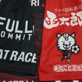 2025 Hokkaido Consadole Sapporo Cheap Jersey - Image 6