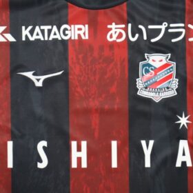 2025 Hokkaido Consadole Sapporo Player Jersey Home - Image 4