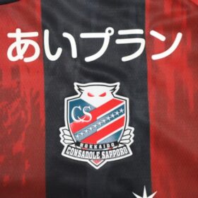 2025 Hokkaido Consadole Sapporo Player Jersey Home - Image 5