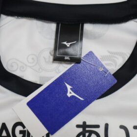 2025 Hokkaido Consadole Sapporo Jersey Third - Image 3