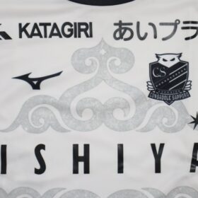 2025 Hokkaido Consadole Sapporo Jersey Third - Image 4