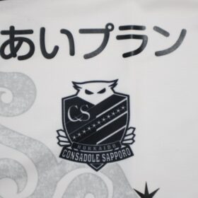 2025 Hokkaido Consadole Sapporo Jersey Third - Image 5
