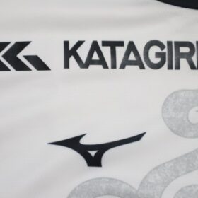 2025 Hokkaido Consadole Sapporo Jersey Third - Image 6