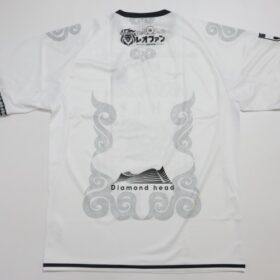 2025 Hokkaido Consadole Sapporo Jersey Third - Image 9