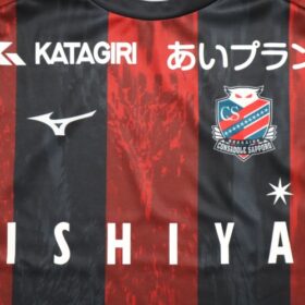 2025 Hokkaido Consadole Sapporo Jersey Home - Image 4