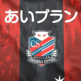 2025 Hokkaido Consadole Sapporo Jersey Home - Image 5