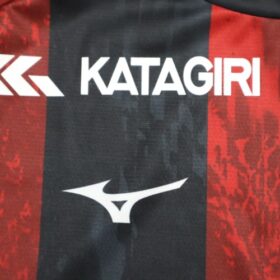 2025 Hokkaido Consadole Sapporo Jersey Home - Image 6