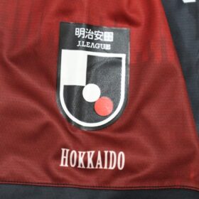 2025 Hokkaido Consadole Sapporo Jersey Home - Image 7