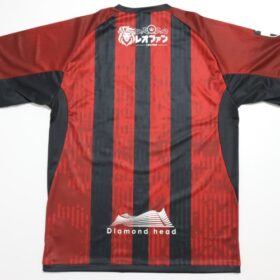 2025 Hokkaido Consadole Sapporo Jersey Home - Image 9