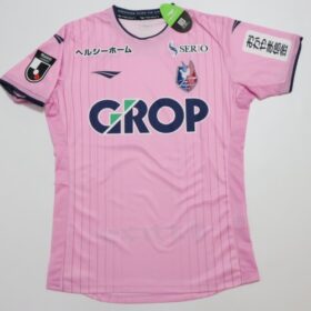 2025 Fagiano Okayama Player Jersey GK Away - Image 2