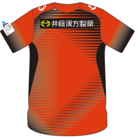 2025 FC Osaka Player Jersey GK Away - Image 2